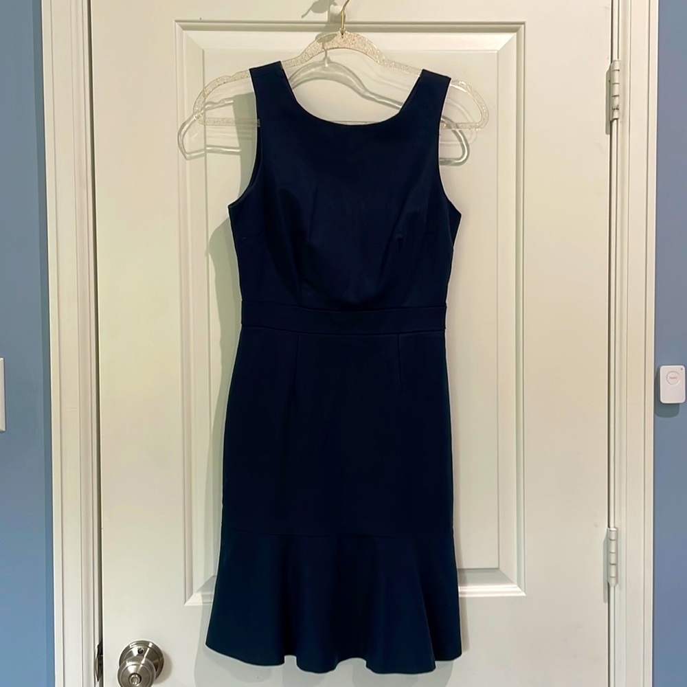 Navy Banana Republic Dress